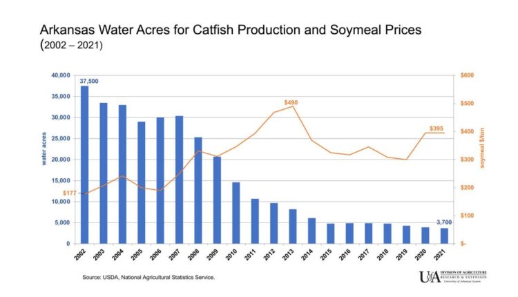   Rising grain prices are putting pressure on the Arkansas catfish industry |  news


