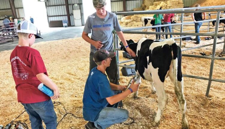   Fair boosts Lynden's economy |  news

