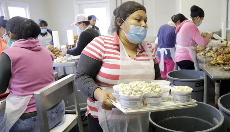   Expanding Legal Immigration to Boost the Economy |  columns

