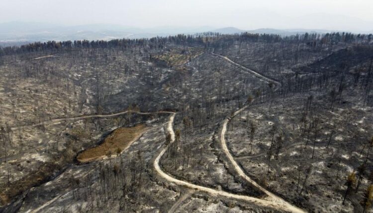   Greek forest fires a major ecological disaster, says Prime Minister |  App top news


