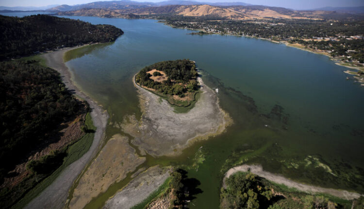 Indian Island and Cache Creek, Clear Lake's water line has receded hundreds of feet on this shallow end of the lake, Wednesday, Aug. 25, 2021. (Kent Porter / The Press Democrat) 2021