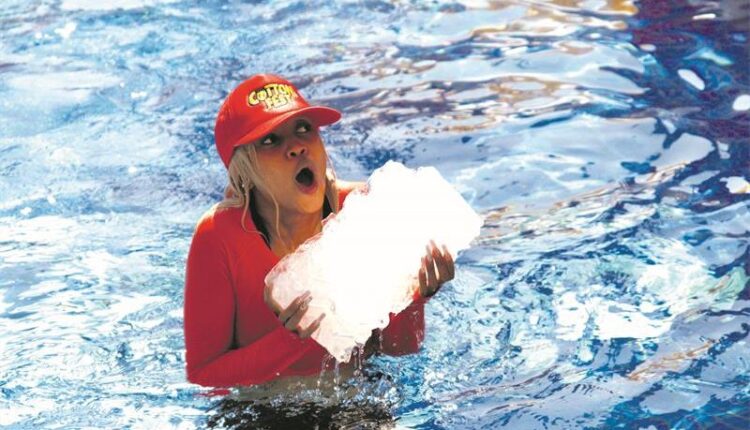 Celebrities to plunge for Special Olympians