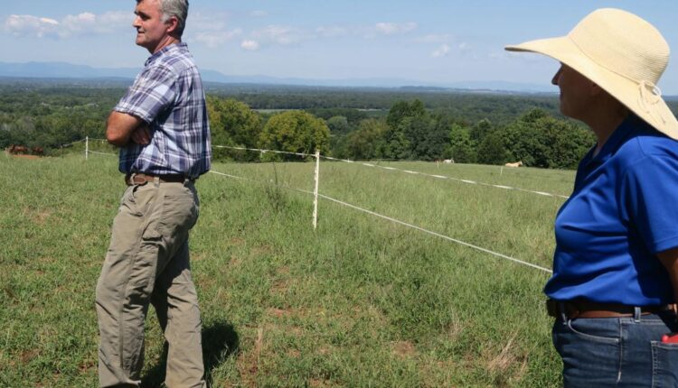   Hard work and rewards: Local couple breeds sport horses on the farm in Culpeper |  Agriculture

