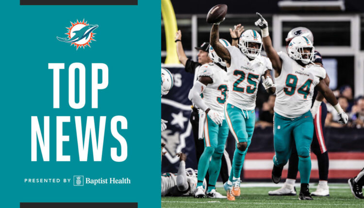 Top-News Dolphins continue to exercise the sales cycle with dividends

