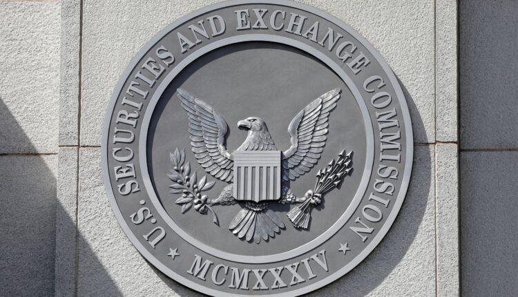 The US SEC is delaying certain assets from enforcement actions under the new disclosure rule

