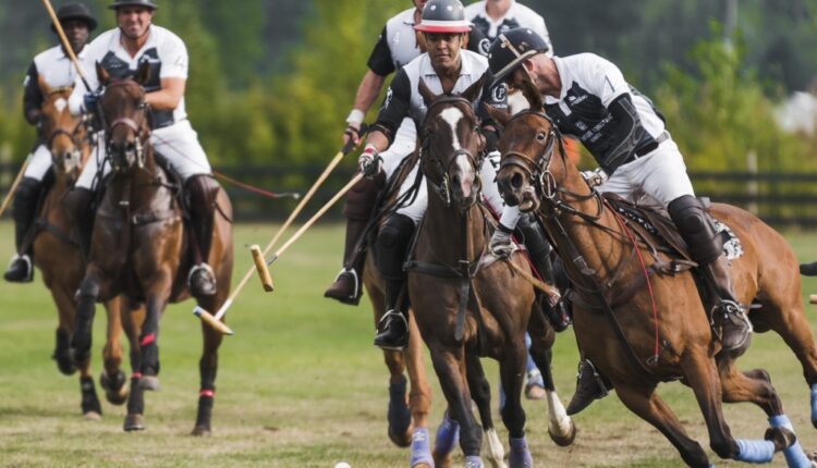   Can the "Sport of Kings" come to this East Bay town?  - East Bay Times

