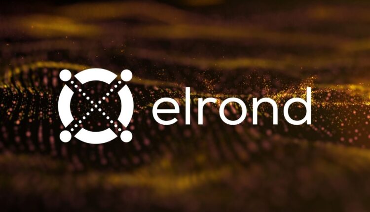 Why is Elrond (EGLD) rising?  Here are 3 reasons - Somag News