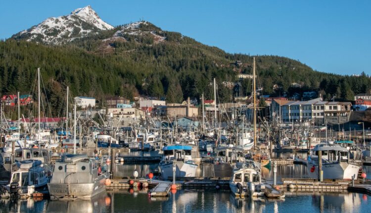 The pink salmon and demersal harvests boost the city's economy

