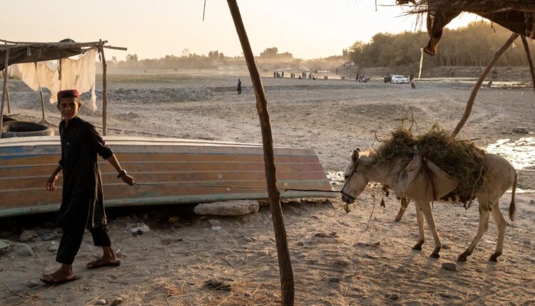 Severe drought adds to Afghanistan's misery and puts millions at risk if the economy collapses

