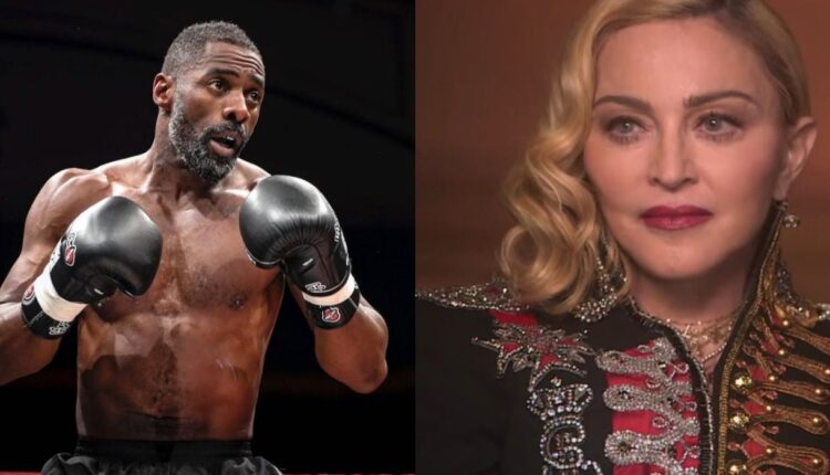 9 Celebrities You Didn't Know Are UFC Fans