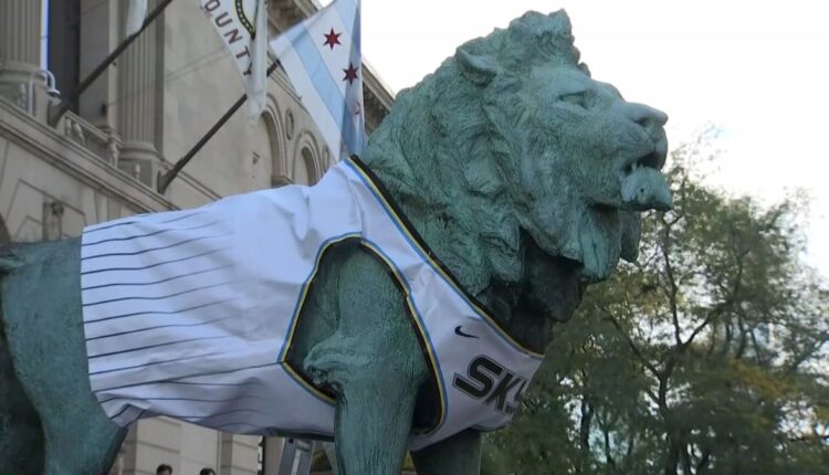Art Institute Lions Sports Chicago Sky Jerseys for Playoffs Run - NBC Chicago

