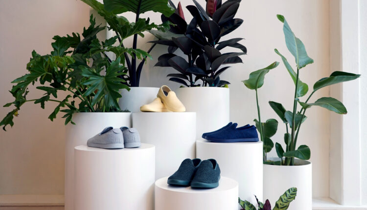 105096250-allbirds.jpg
