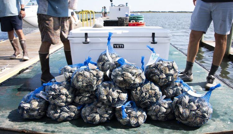 BlueEconNSEA034_.jpg