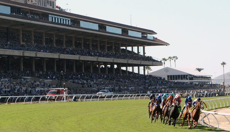 Horse races want to show their best face at the Breeders' Cup 2021


