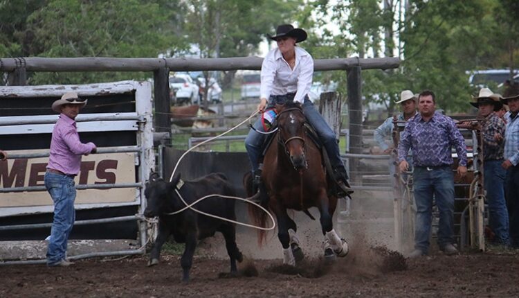Rodeo sport of calf rappelling causes stress, anxiety and should be banned: RSPCA


