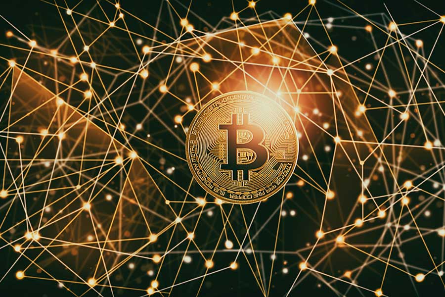 Growing Cryptocurrencies - Merca2.0 Magazine |