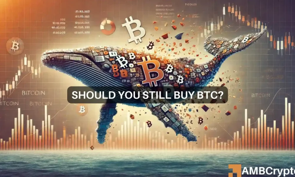 Is it time to buy Bitcoin after whales have liquidated their positions?