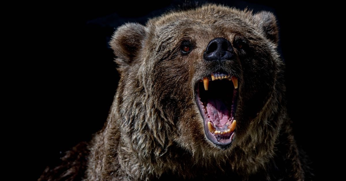 Because of this, the prices of altcoins such as Solana (SOL), AVAX, Aptos and SUI have fallen by 40 to 70%, underperforming Bitcoin (BTC) and Ethereum's ETH